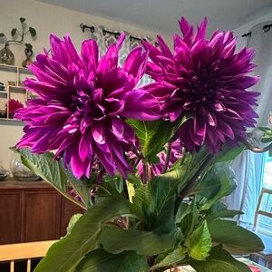 Help me clean out my closet!